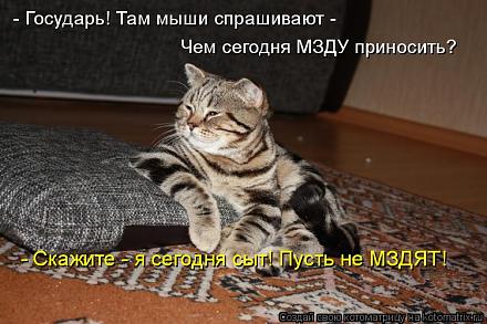     
: 789550.jpg
: 714
:	74.5 
ID:	10009