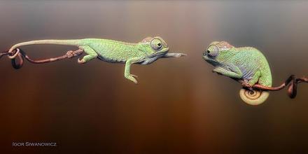     
: don__t_be_blue_by_blepharopsis-d5cybo2.jpg
: 616
:	23.8 
ID:	10035