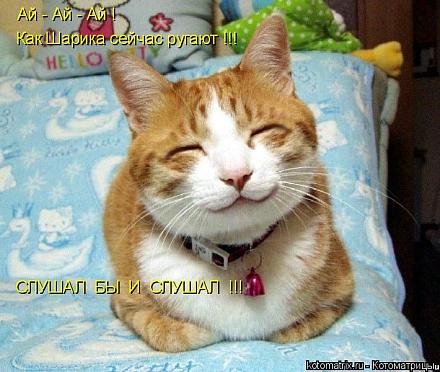     
: 321461.jpg
: 765
:	76.3 
ID:	10057