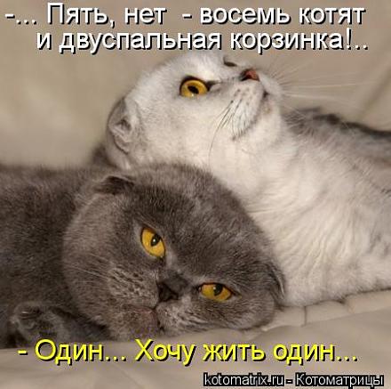     
: 1123919.jpg
: 960
:	36.3 
ID:	10060