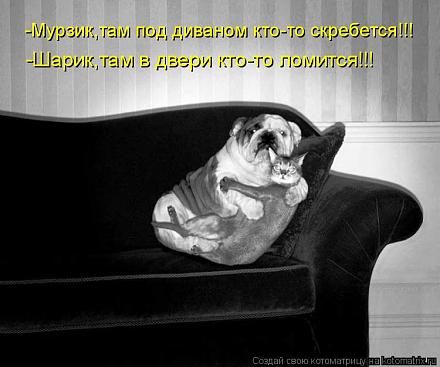     
: 594940.jpg
: 691
:	55.5 
ID:	10061