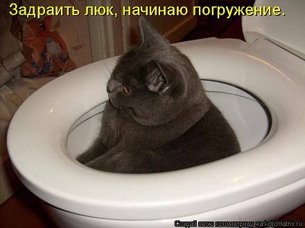     
: 504762.jpg
: 688
:	43.7 
ID:	10062
