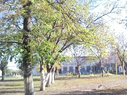     
: SNC00175.jpg
: 1318
:	162.0 
ID:	10421