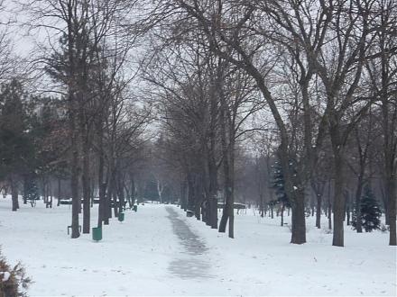     
: P1030383a.jpg
: 686
:	121.3 
ID:	1051