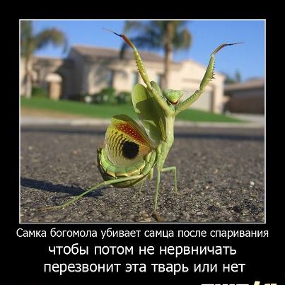 : 1.jpg
: 2235

: 30.3 