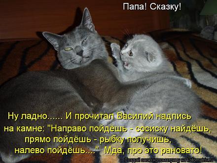     
: kotomatritsa_qv[1].jpg
: 911
:	78.1 
ID:	10602
