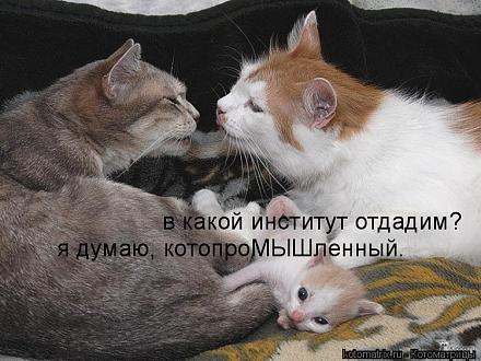     
: 743669[1].jpg
: 620
:	81.9 
ID:	10603