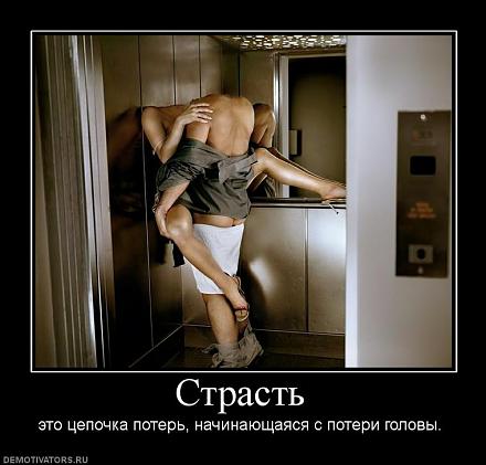     
: 742604_strast.jpg
: 1252
:	60.1 
ID:	10648