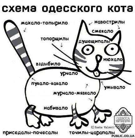     
:  .jpg
: 665
:	50.6 
ID:	10756