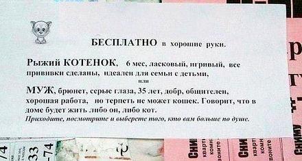     
:  .jpg
: 612
:	43.5 
ID:	10766