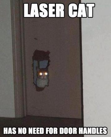     
: .jpg
: 1072
:	24.1 
ID:	10937