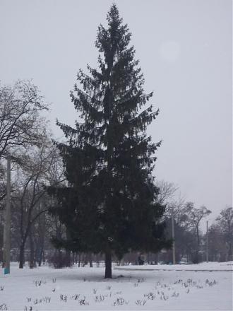 Нажмите на изображение для увеличения
Название: P1030470a.jpg
Просмотры: 605
Размер: 71.0 Кб
ID: 1115