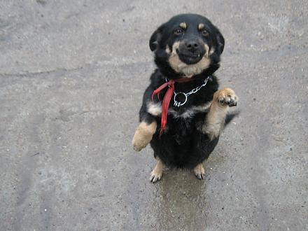     
: getImage.jpg
: 1243
:	54.7 
ID:	11280