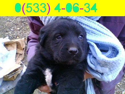     
: getImage (7).jpg
: 1042
:	55.5 
ID:	11284