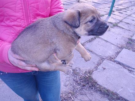 Нажмите на изображение для увеличения
Название: jd.jpg
Просмотры: 932
Размер: 61.0 Кб
ID: 11379