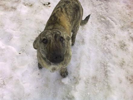 Нажмите на изображение для увеличения
Название: getImage (24).jpg
Просмотры: 921
Размер: 49.0 Кб
ID: 11381