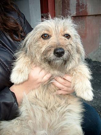 Нажмите на изображение для увеличения
Название: getImage (25).jpg
Просмотры: 962
Размер: 44.5 Кб
ID: 11382