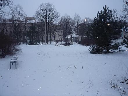     
: P1030491a.jpg
: 638
:	75.8 
ID:	1155