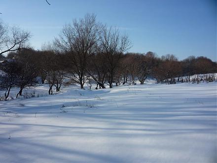     
: P1030679a.jpg
: 572
:	82.3 
ID:	1182
