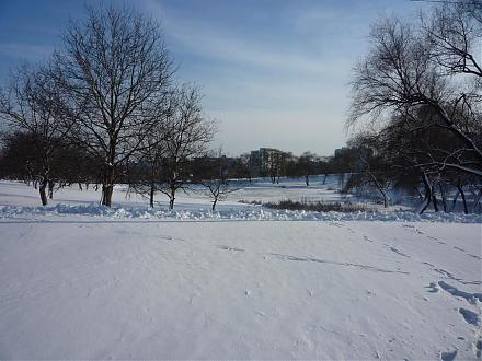     
: P1030681a.jpg
: 606
:	111.2 
ID:	1184