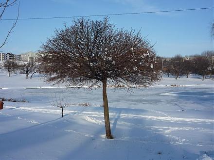     
: P1030693a.jpg
: 530
:	111.6 
ID:	1189