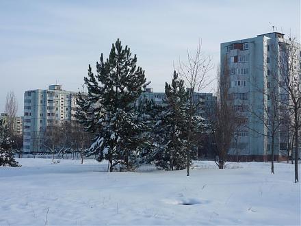     
: P1030716a.jpg
: 564
:	99.0 
ID:	1203