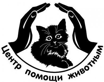     
:     .jpg
: 1343
:	49.6 
ID:	12167