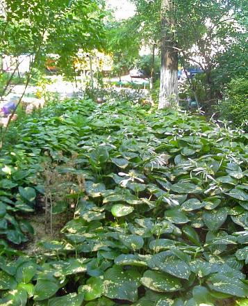 Нажмите на изображение для увеличения
Название: Дворы города Тирасполь.jpg
Просмотры: 719
Размер: 127.5 Кб
ID: 12249