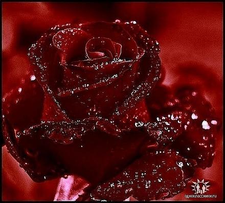     
: getImage.jpegkkk.jpeg
: 944
:	53.6 
ID:	1273