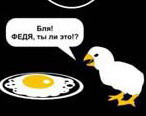 : Yaytco.jpg
: 410

: 12.5 