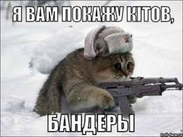 :  2.jpg
: 1064

: 8.9 