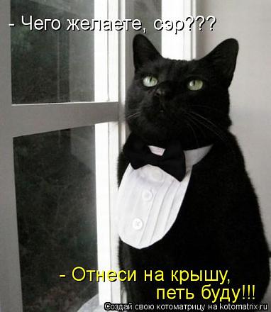     
: .jpg
: 567
:	39.7 
ID:	13622