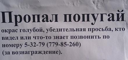     
:  .jpg
: 1213
:	40.2 
ID:	14603