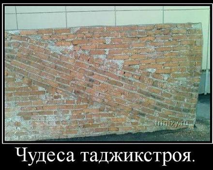 Картинка дня