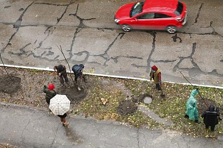 Нажмите на изображение для увеличения
Название: Высадка деревьев.jpg
Просмотры: 1279
Размер:	148.0 Кб
ID:	14987