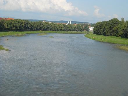     
: x_92f27550.jpg
: 512
:	73.0 
ID:	15434