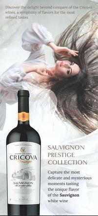 Нажмите на изображение для увеличения
Название: SAUVICNON PRESTIGE COLLECTION.jpg
Просмотры: 2409
Размер: 43.6 Кб
ID: 15512