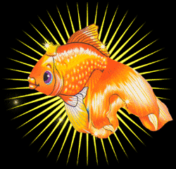: Z_ribka.gif
: 798

: 19.3 