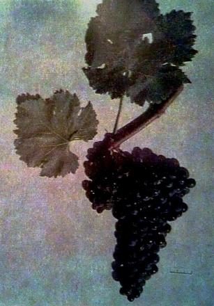 Нажмите на изображение для увеличения
Название: Мерло.jpg
Просмотры: 1622
Размер: 71.8 Кб
ID: 16360