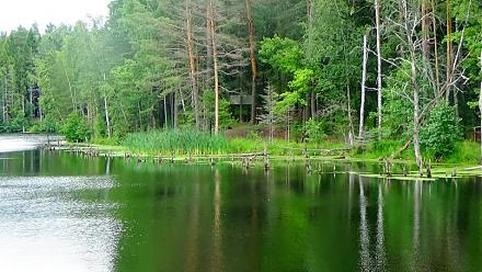     
: 6DqQ7emk1SQ.jpg
: 908
:	124.5 
ID:	16505