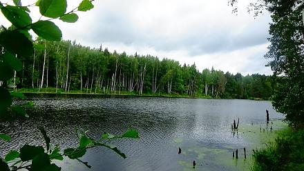     
: TILP-fbf194.jpg
: 799
:	106.9 
ID:	16510