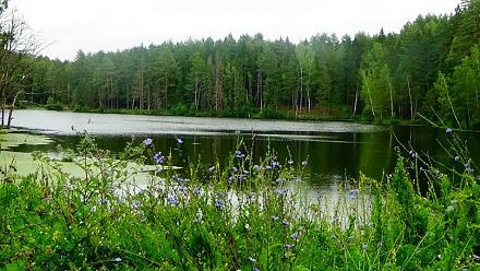     
: yDsrKWt74hg.jpg
: 877
:	135.5 
ID:	16513
