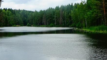     
: zfJUPoJoBnA.jpg
: 923
:	86.2 
ID:	16514