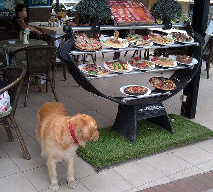 Нажмите на изображение для увеличения
Название: Ресторан в Алании.jpg
Просмотры: 826
Размер: 150.1 Кб
ID: 16999