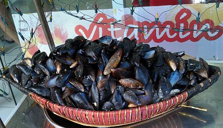 Нажмите на изображение для увеличения
Название: Мидии в Турции.jpg
Просмотры: 773
Размер: 128.5 Кб
ID: 17011