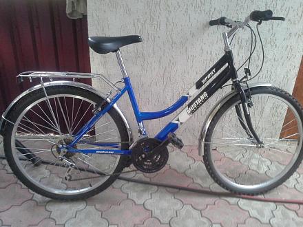    
: MUSTANG Mountain Bike.jpg
: 793
:	111.1 
ID:	17266