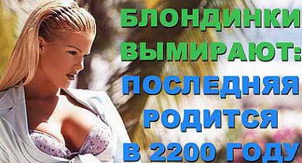     
:  .jpg
: 493
:	21.9 
ID:	1810