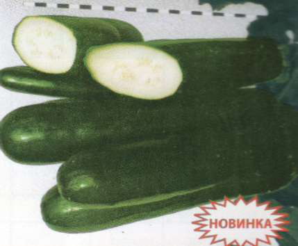 :  -  .jpg
: 1156

: 21.9 