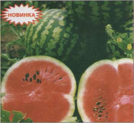 Нажмите на изображение для увеличения
Название: Радость - сорт арбуза.jpg
Просмотры: 468
Размер: 31.8 Кб
ID: 18828