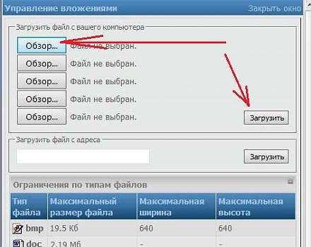     
: primer3.jpg
: 501
:	71.3 
ID:	18910